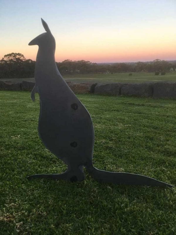 Kangaroo - Image 2