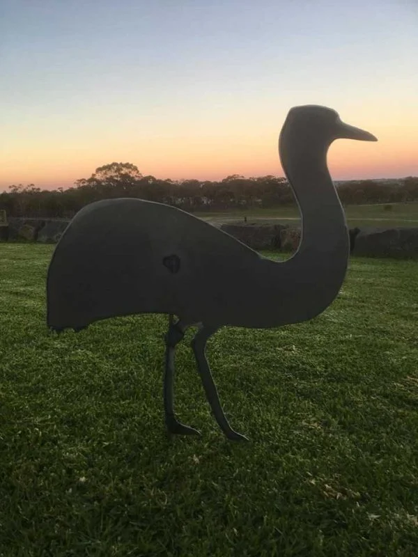 Emu cut out