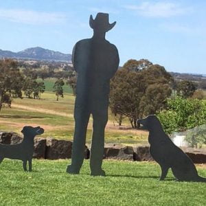 Man and 2 dogs