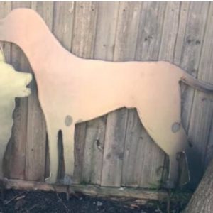 Dalmation