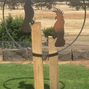 2 Cockatoos