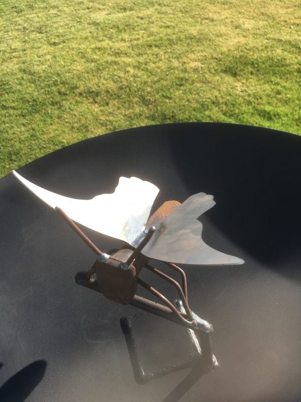 Bird Bath Round Plough disc - Image 3