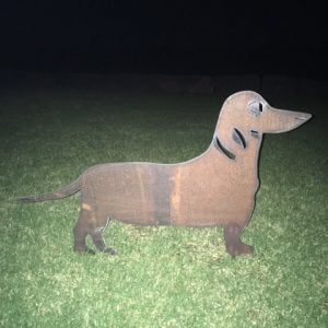 Dachshund