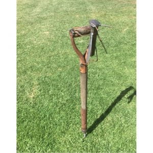 Grasshopper on Shovel Spike