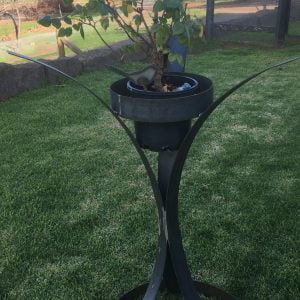 Tripod Plant Stand