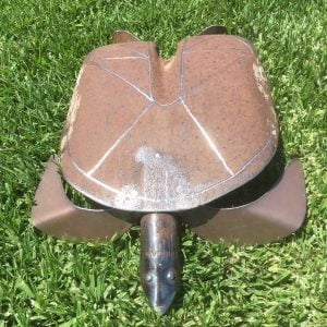 Cook Island turtle item 02