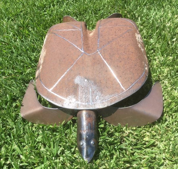 Cook Island turtle item 02