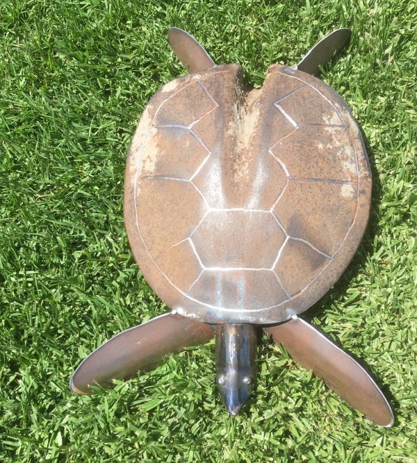 Cook Island turtle item 01 - Image 2